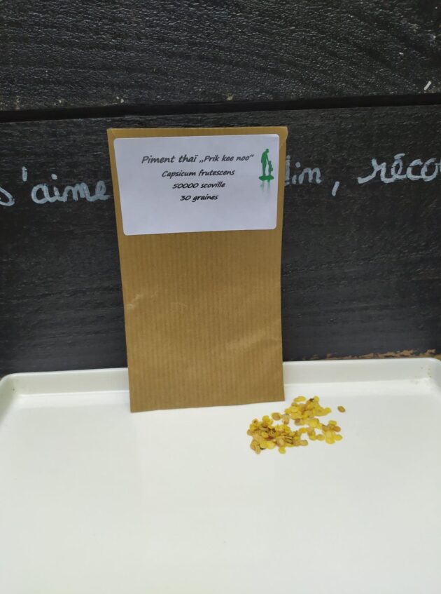 Graine (30) de Piment thaï "Prik kee noo" – Image 3