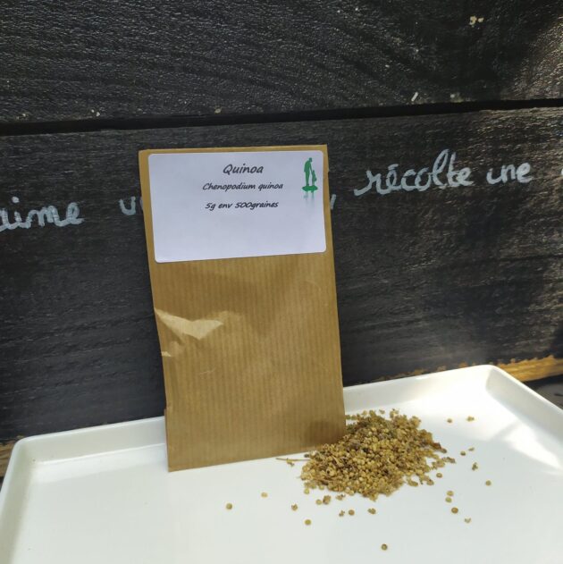 Graine de Quinoa – Image 2