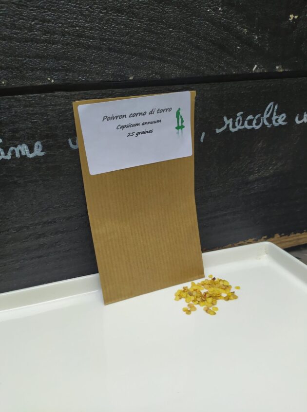 Graine (25) de Poivron corno di torro rosso – Image 3