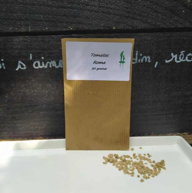 Graine (25) de Tomate Roma – Image 2