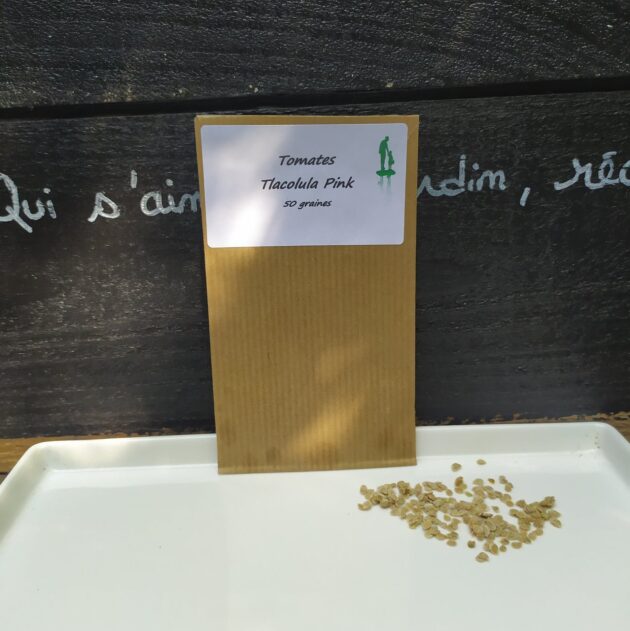 Graine (25) de Tomate Tlacolula pink – Image 3