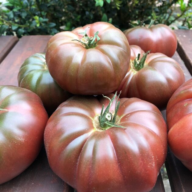 Graine (25) de tomate "Noire de Crimée" (origine française) – Image 2