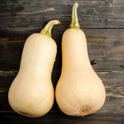 Graine de Courge Butternut