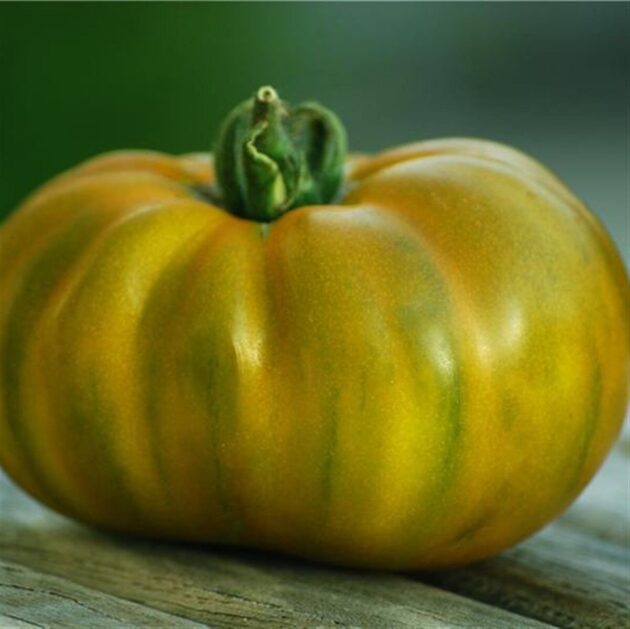 Graines (25) de Tomate Evergreen – Image 2
