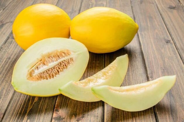 graine de Melon jaune canari – Image 2