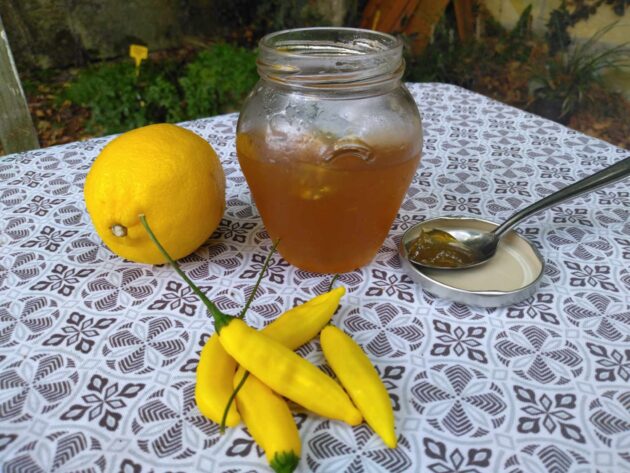 Graines (20) de Piment Lemon Drop – Image 3