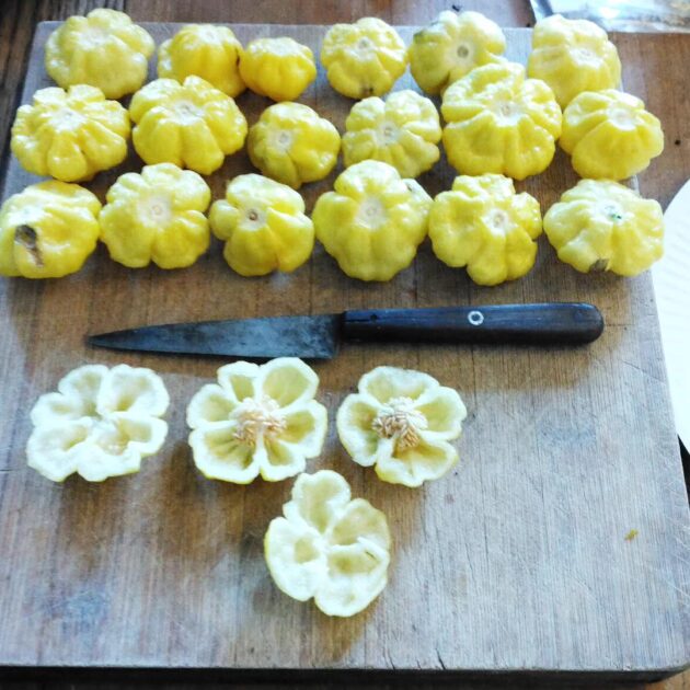 Graine (20) de piment Ks Lemon StarrBurst – Image 3