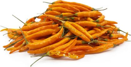 Graine (20) de Piment Thai Orange