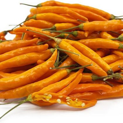 Graine (20) de Piment Thai Orange