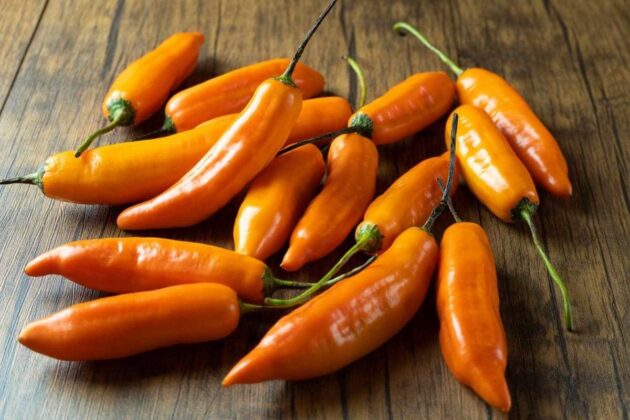 Graines (20) de Piment Aji Amarillo