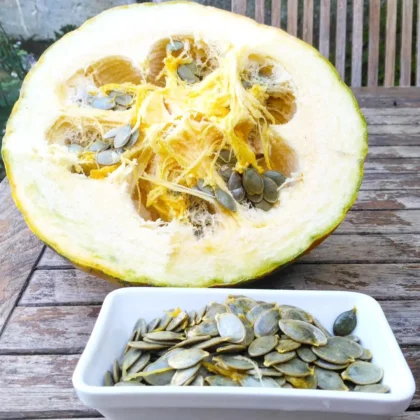 graines (10) de Courge Lady Godiva